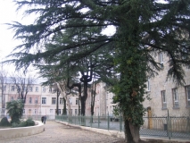 Кутаиси