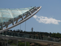 Фестиваль цветов, 2010. Рике