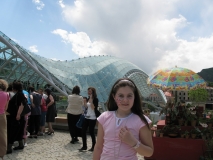 Фестиваль цветов, 2010. Рике