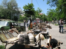 Вернисаж