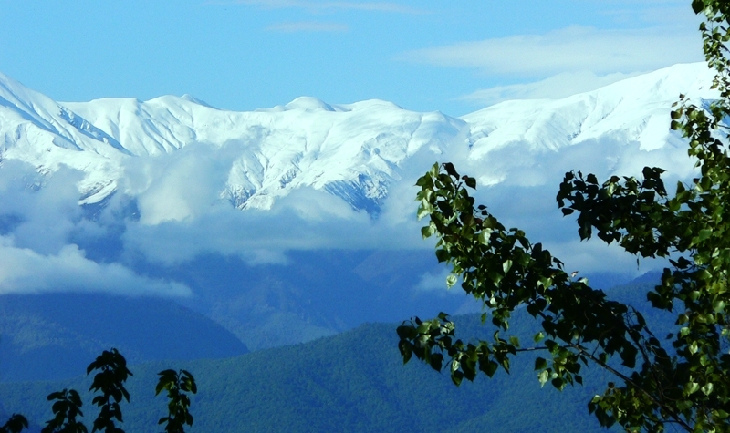 Кахетия и вино
