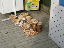 изделия из ракушек