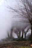 DSC02626