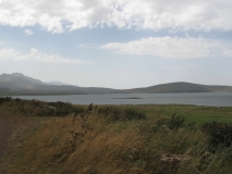 Табацкури