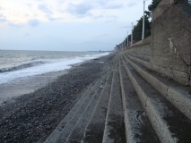 DSC07151