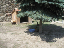 IMG 0352
