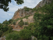 IMG 6131 (Copy)