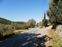 P3010313