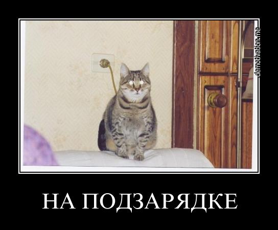 Избранные демотиваторы - ml1utvx8yauc.jpg
