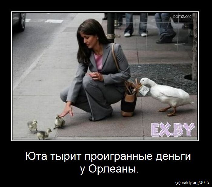 Демотиваторы от  - смешные-демотиваторы-white-duck-это-утка-36651.jpg