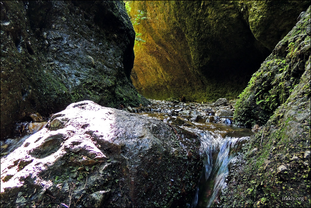 Тетрицкаро - birtvisi019.jpg