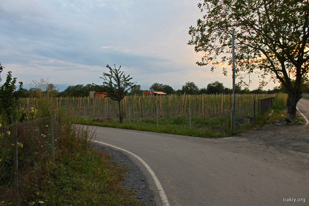 Кахетия - Kakheti062.jpg