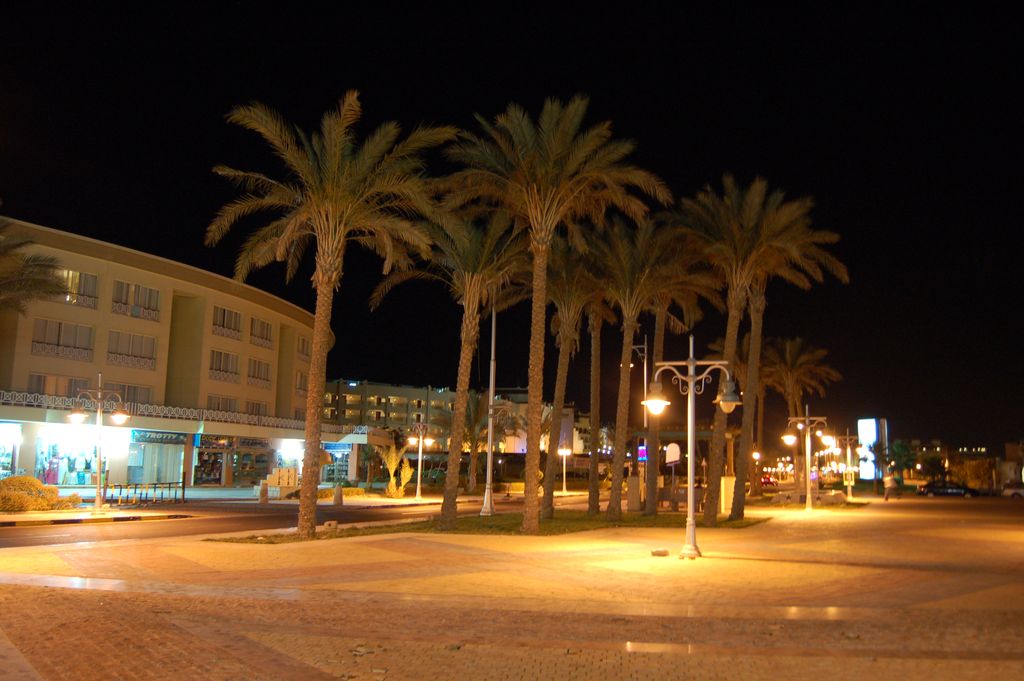 Египет 2010: Хургада, Каир, Гиза - Bergmann_in_Egypt_5.JPG