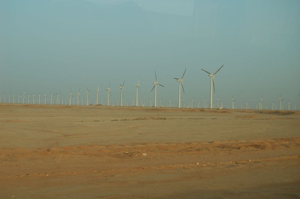 Египет 2010: Хургада, Каир, Гиза - Bergmann_in_Egypt_10.JPG