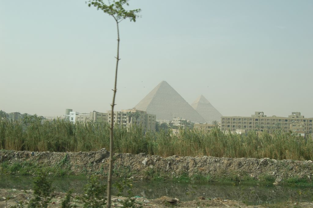 Египет 2010: Хургада, Каир, Гиза - Bergmann_in_Egypt_27.JPG