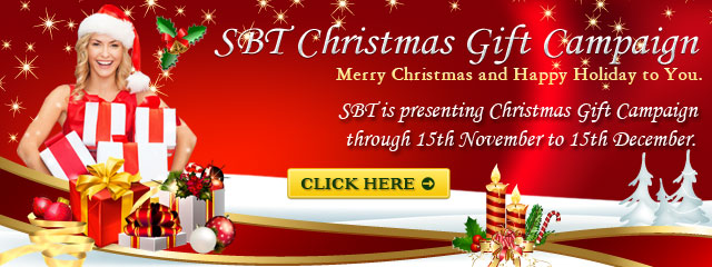  SBT JAPAN Автодилерам и частникам - main_img10.jpg
