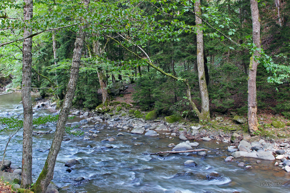 Боржоми - borjomi011.jpg