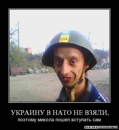 Поддержка Украины в мире - 44537618.jpg