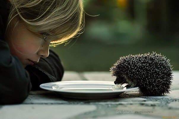 Афоризмы великих людей - FB_IMG_1480524347984.jpg