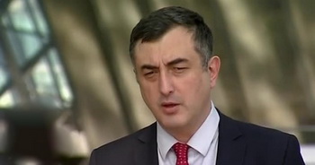 Серго Ратиани: Единое национальное движение уже разделилось - ratiani.jpg