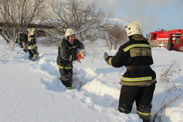 Хорошее о России-2 - 1484927716115767446.jpg