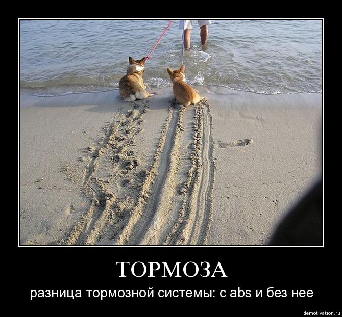 Избранные демотиваторы - pwkzmhksnrr0.jpg