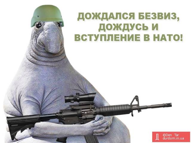 Ждун - ждун ждет НАТО.jpg