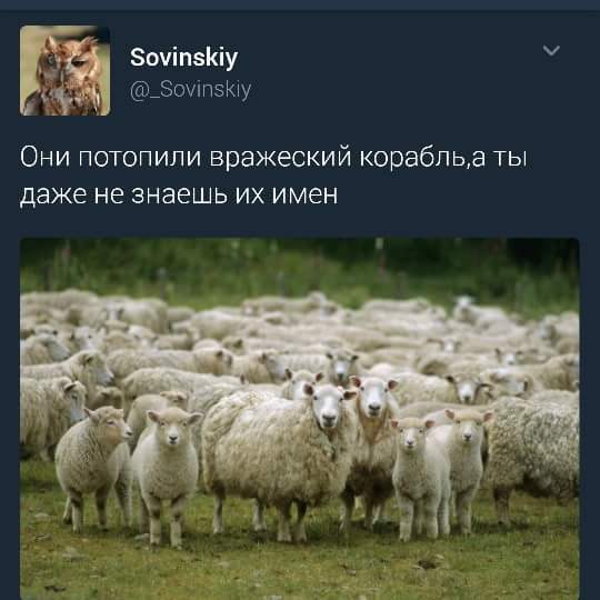 Империя и имперцы - C-kdAEyXcAQestw.jpg