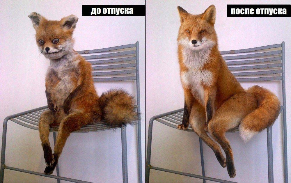 Веселые картинки - image.jpg
