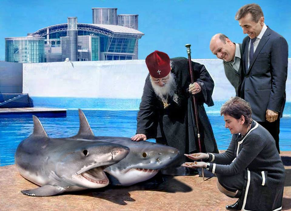 Политическая карикатура - акулы Иванишвили.jpg