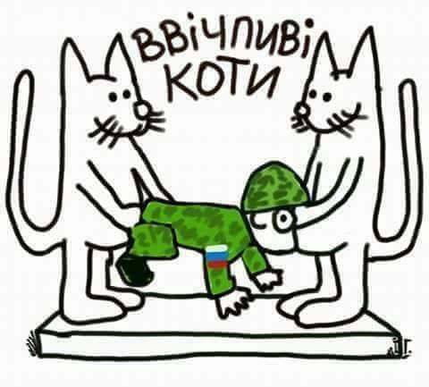 Веселые картинки - вежливые коты.jpg