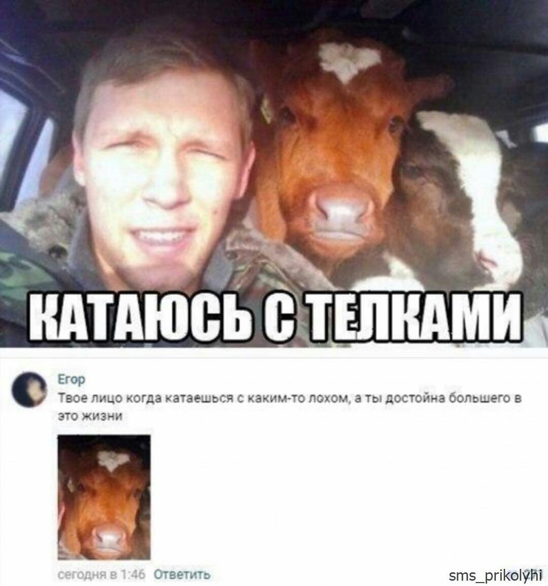 Слеза модератора - pBWkHzi4gEeU.jpg