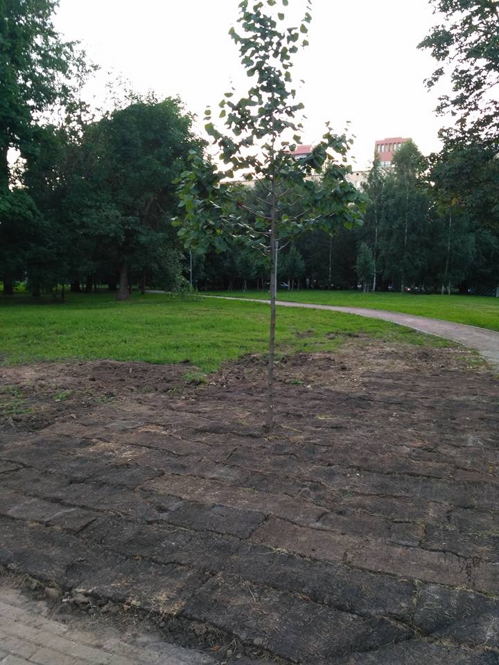 Шо пи дец - 20664967_856830681142396_2555172609500512059_n.jpg