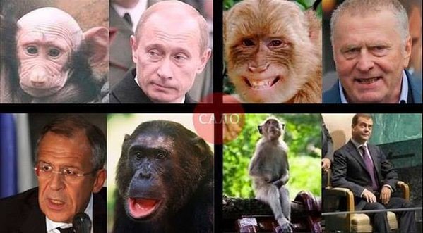 СМИ сообщили: РФ у Вьетнама закупает обезьян. Зачем? Ваш вариант: - старая гвардия поизносилась.jpg