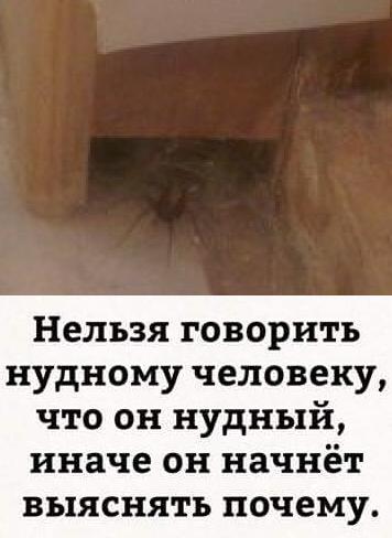 Портреты ираклийцев - 12345.JPG