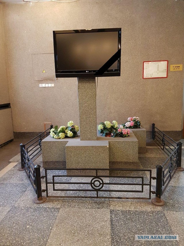 Шо пи дец - 10898239.jpg