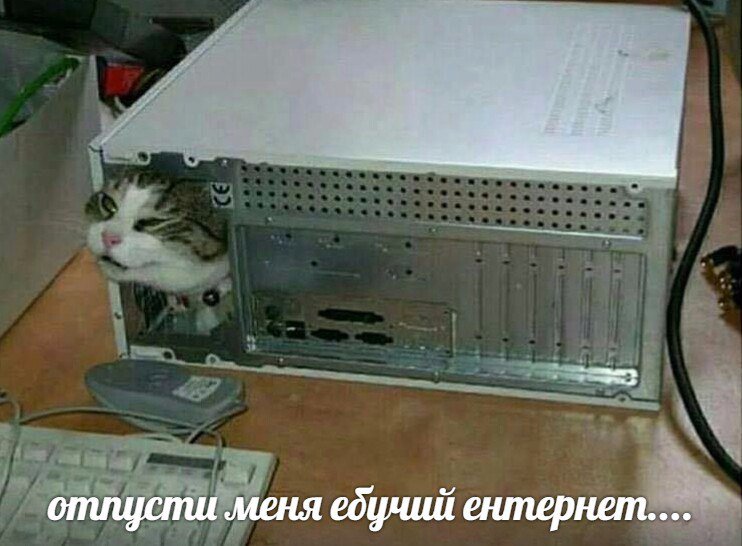Соцсети - инет.jpg