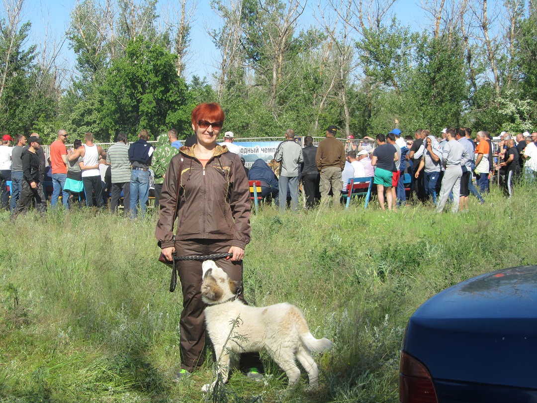Кинология и собаководство. Всё о собаках - IMG_8821.JPG