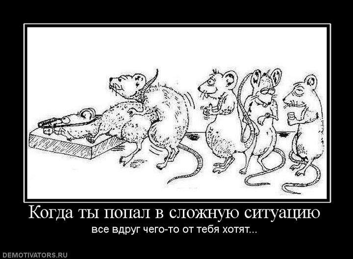 Избранные демотиваторы - сложная ситуация.jpg