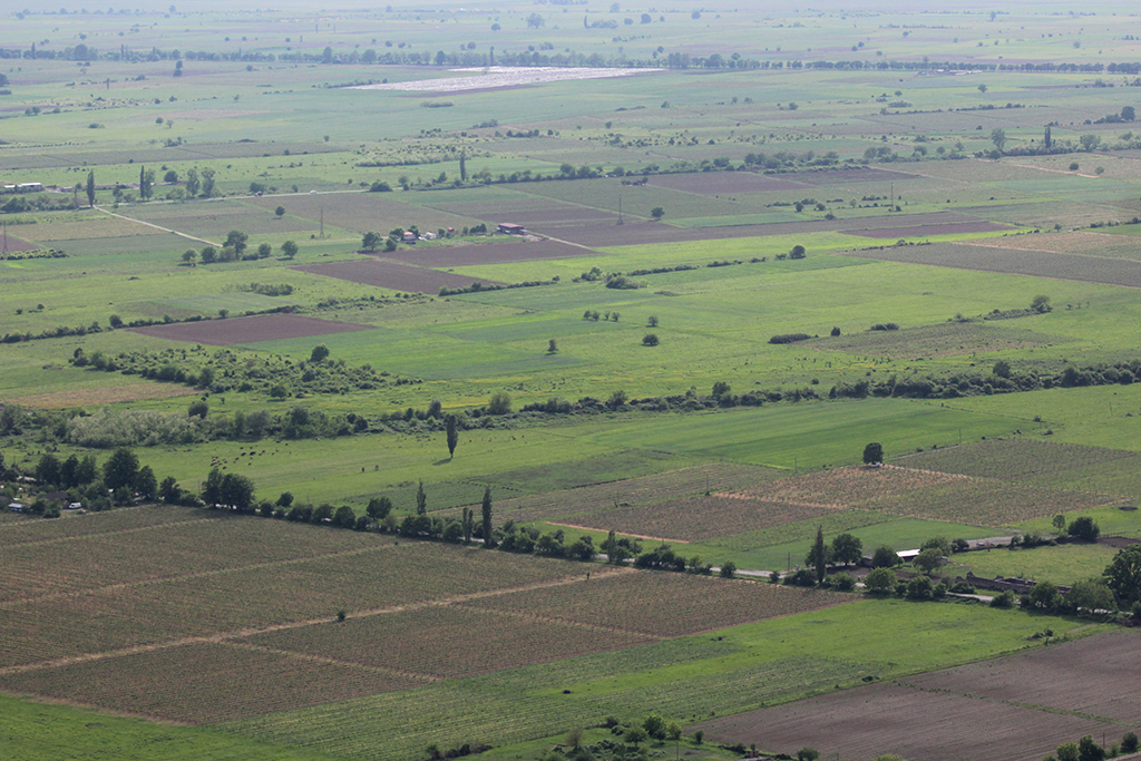 Некреси - IMG_0602.jpg