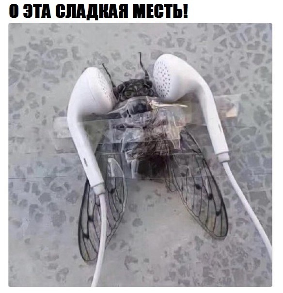 Защита природы от человека - месть.jpg