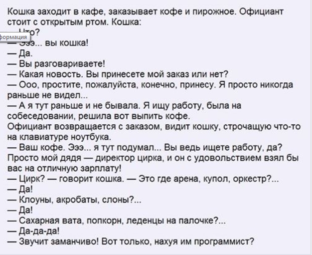 Анекдоты - про кошку.jpg