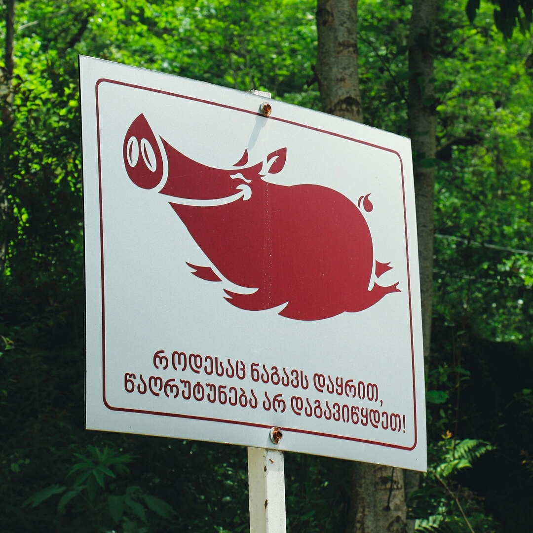 Иудаизм, ислам, христианство и буддизм - pByUldOwl9Kl_igshid=jrt7irhss9oe.jpg