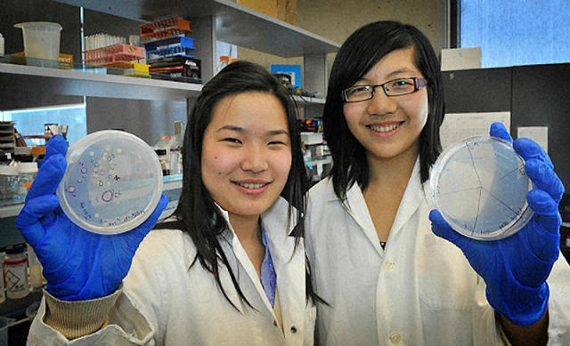 Новости науки, технический прогресс - students-invent-bacteria.jpg