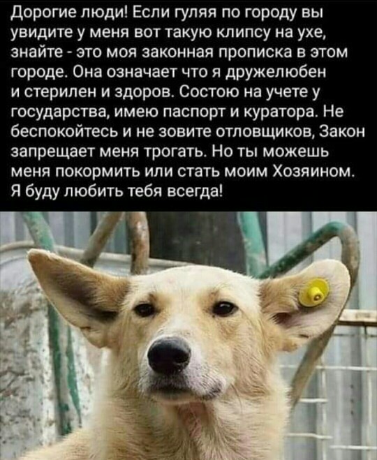 Вот чему нужно учиться с детства - S91017-224723(1).jpg