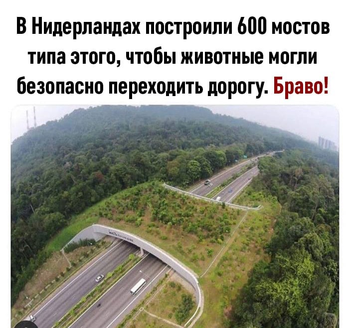 Это интересно... - 73247249_1497766683723008_3323954179117940736_n.jpg