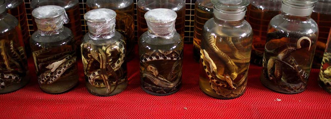 Китай - 2020-02-16T230031Z_798438413_RC2Z1F97QWCF_RTRMADP_3_CHINA-HEALTH-WILDLIFE--Read-Only-_170529e46af_banner.jpg