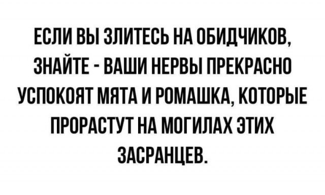 Бессмыcленная ругань - 14327722.jpg