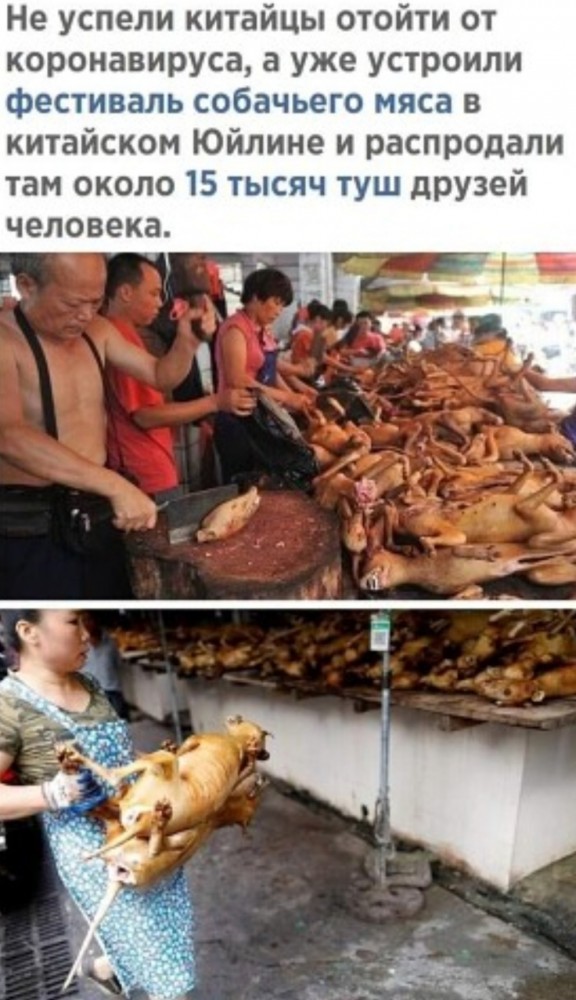 Китай - чайна.jpg