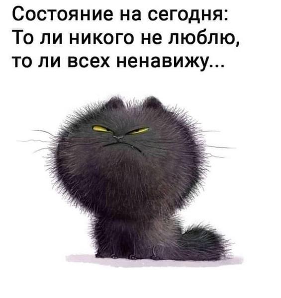 Наше настроение в картинках - всех не люблю.jpg